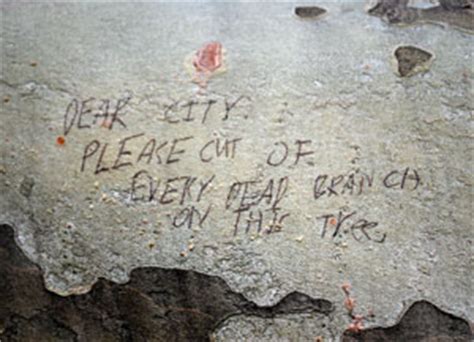 Jane's neighbour has sent her an angry letter demanding she pay for the removal of the tree, and claiming the law about neighbours rights and responsibilities is covered generally by the common law jane's tree is healthy. The Ann Arbor Chronicle | Ann Arbor Park Gets Movie Stimulus