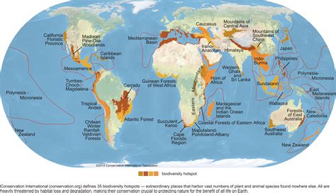 Biodiversity Hotspots Geog 30n Environment And Society In A Changing