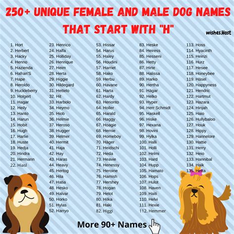 Dog Names That Start With H For Girl And Boy Dog Your Hop