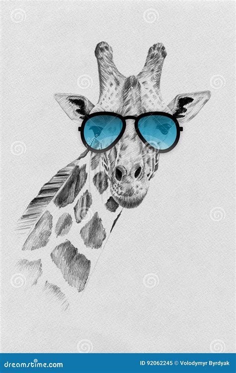 Portrait Of Giraffe Drawn By Hand In Pencil In Sunglasses Stock