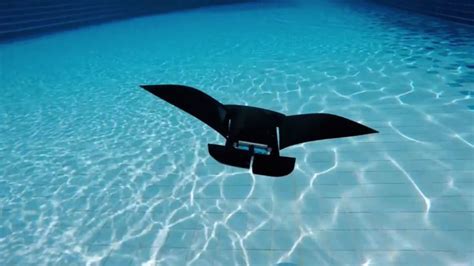 Nus Developed Manta Ray Robot Swims Faster And Operates Up To 10 Hours