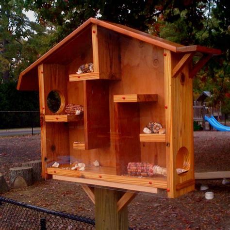 Squirrel House For Jcc North Dakota Pinterest Bird Houses Diy