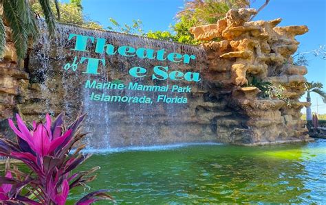 12 Top Rated Attractions And Things To Do In Islamorada Fl Planetware