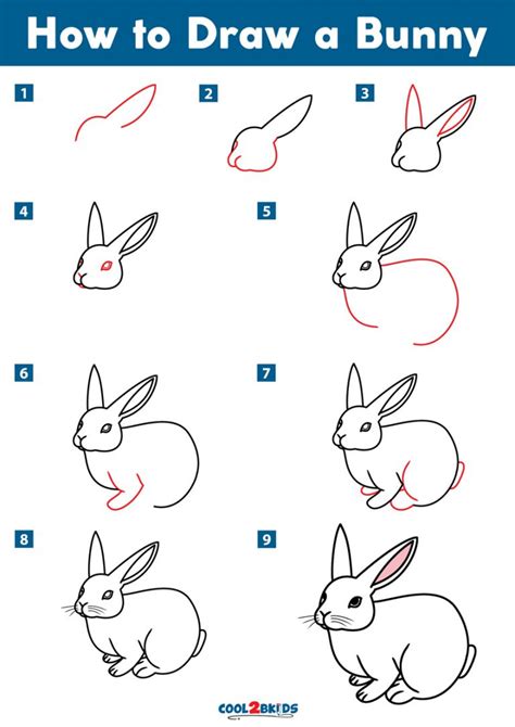 How To Draw A Cartoon Rabbit Bunny Step By Step Begin