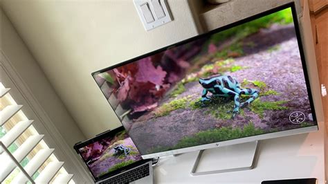 Hp Ips Led Fhd Monitor Quick Review Youtube