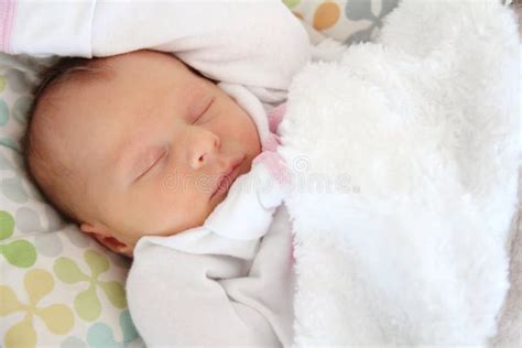 Precious Newborn Baby Girl Sleeping Stock Photo Image Of Caucasian