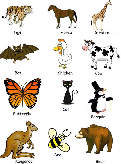 ¿nombres De Animales En Inglés Con Imágenes Material Para Maestros