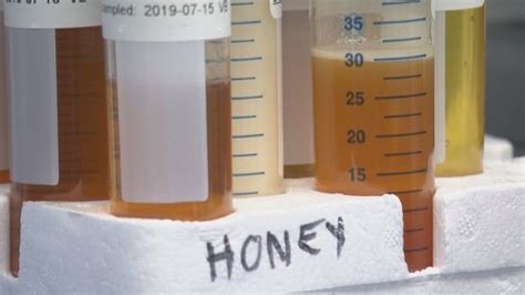Fake Honey Still Pouring Into Canada And Local Beekeepers Are Feeling The Sting Cbc News R