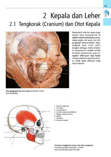 Bab 2 Kepala dan Leher - haryahutamas - Halaman 1 - 168 | PDF Online