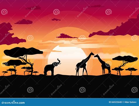 African Sunset In The Savannah With Silhouette Of Animals Stock Vector