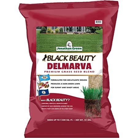 Amazon Com Jonathan Green Black Beauty Keystone Pa Grass Seed Made For Pennsylvania