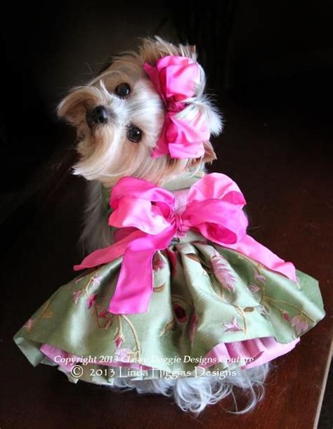 Palm desert puppies is located in palm desert city of california state. Fashion Show Palm Desert 2013 Items for Sale - Dog Dresses, Pet Apparel, Designer Dresses - $295 ...