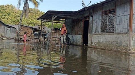 Sudah Tiga Hari Permukiman Warga Di Sikka Terendam Banjir Rob Pos