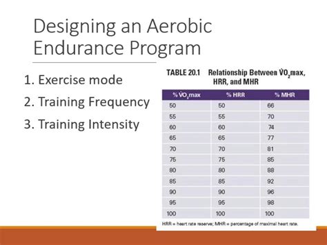 Aerobic Endurance Workout Plan Eoua Blog
