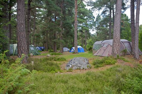 Forest Camping Uk 18 IDN Camping