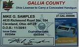 Handgun License Photos