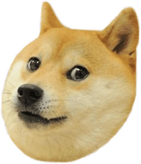 Doge Such Angry Doge Know Your Meme Follow The Live Price Of