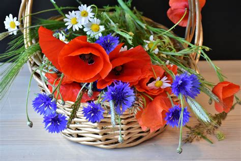A collectionner pour faire varier les plaisirs ! Coquelicot Bouquet - 20 idées pour un bouquet d'automne ...