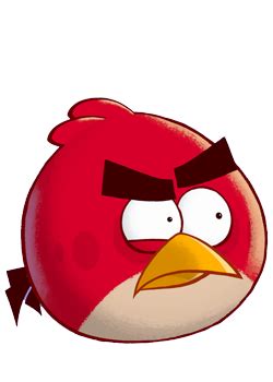 It is also the last game chronologically in uum's continuity, and is much darker than the average angry birds game. Toons Birds & Pigs - Angry Birds Wiki