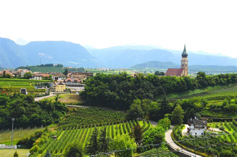 Your 2023 Guide To Trentino Alto Adige Wine Region