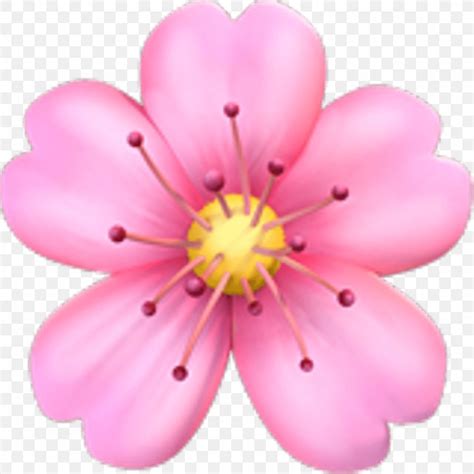 Pink Flowers Aesthetic Emoji References Mdqahtani