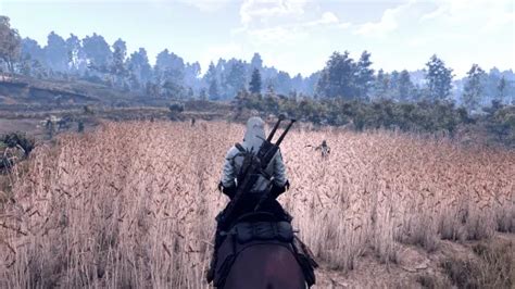 Discover Some Cool Game Changing Mods For The Witcher 3 Wild Hunt