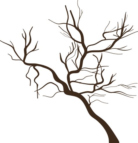 Gambar Ranting Pohon Kartun Png Gambar Bagian Tumbuha