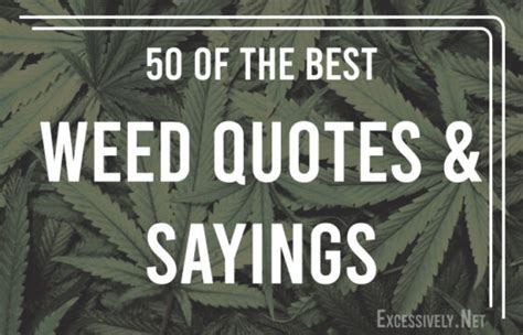 50 Of The Best Weed Quotes And Sayings Excessively