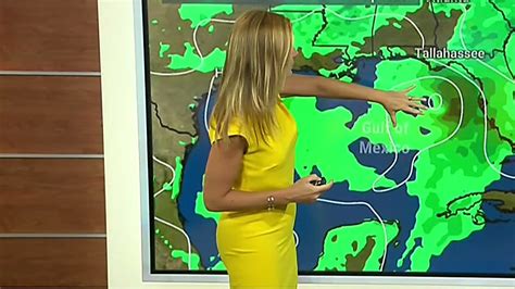 Jen Carfagno The Weather Channel Yellow Dress Profile View
