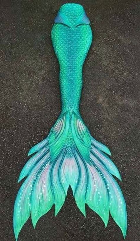 an image of a mermaid tail on the ground