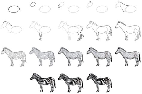 How To Draw A Zebra An Easy Step By Step Zebra Drawing Tutorial