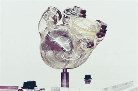 Artificial Heart Musical Rhythmic Artificial Heart Science Revision