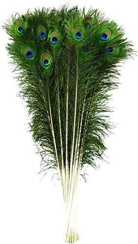 Buy Natural Peacock Feathermor Pankh For Poojareal Peacock Feather