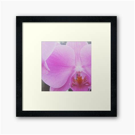 Pink Orchid Framed Art Print By Totallypoly Redbubble Pink