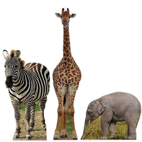 Buy Wild Jungle Safari Animal Set Of 3 Cardboard Cutouts Standee