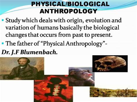 History Of Physical Biological Anthropology Ppt Forensics Digest