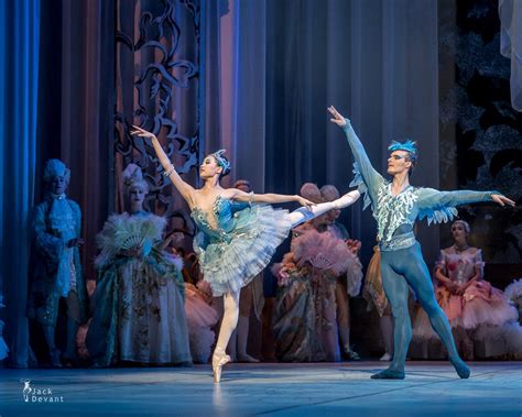 Bluebird Tuukka Piitulainen And Princess Florina Yimeng Sun Ballet