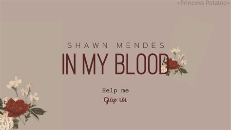Hilf mir, es ist, als würden sich die wände einschleichen. Vietsub+Lyrics In my blood Shawn Mendes - YouTube