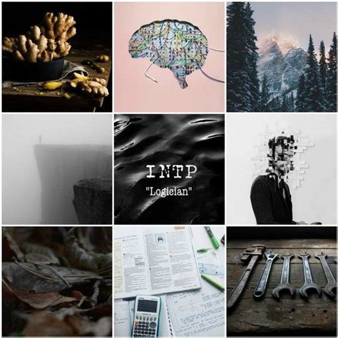 Intp Aesthetics Intp Personality Type Myers Briggs Personality Types