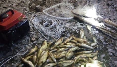 Jeneratörle Balık Avına 10 Bin Lira Ceza Kesildi Haberleri