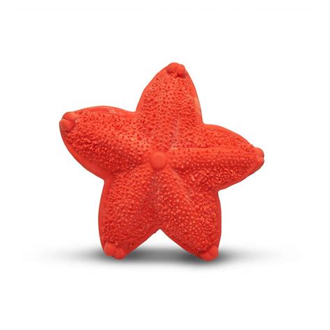 Lanco Biting Starfish Toy Trouva Starfish Toy Starfish Baby Gums