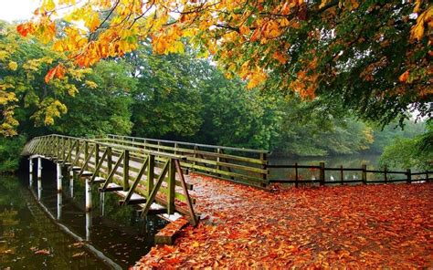 1400x875 Nature Landscape Leaves Fall Trees Bridge Walkway River
