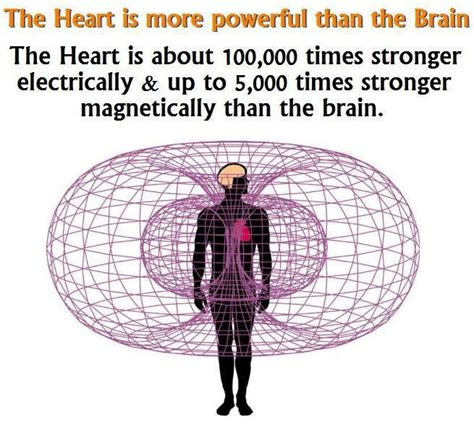 The Heart Sacred Geometry Spirit Science Chakra