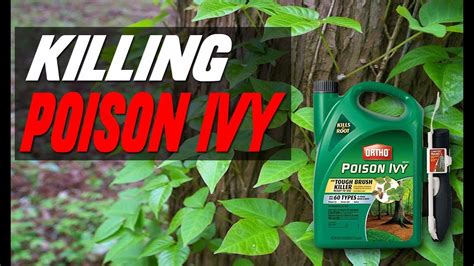 How To Stop Poison Ivy At Home Youtube