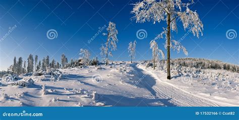 Winter Panorama Stock Photo Image Of Frost Landscape 17532166