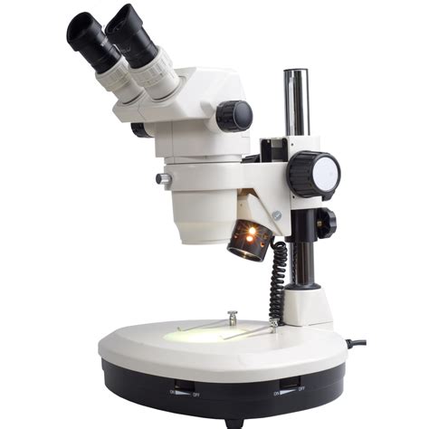 Microscopio Png
