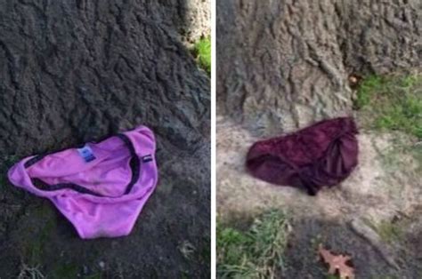 panties mystery underwear left at tree has cops stumped daily star