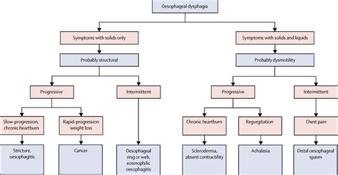 Algorithm For Approach To Patient With Dysphagia Dysp