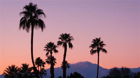Palm Springs Travel Guide What To Do And Where To Stay In Palm Springs