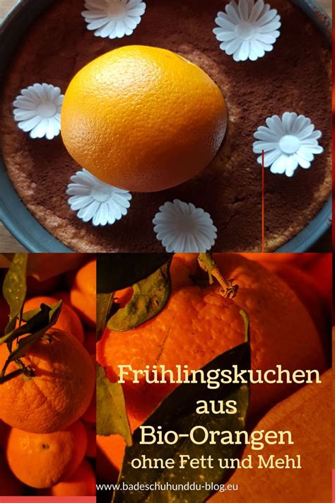 Check spelling or type a new query. Kuchen aus Bio Orangen-law carb in 2021 | Orangenkuchen ...